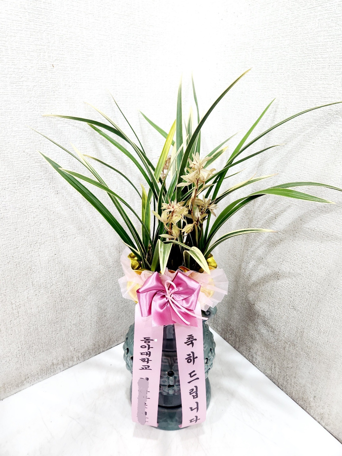 은은한 향과 깊은 의미의 동양란